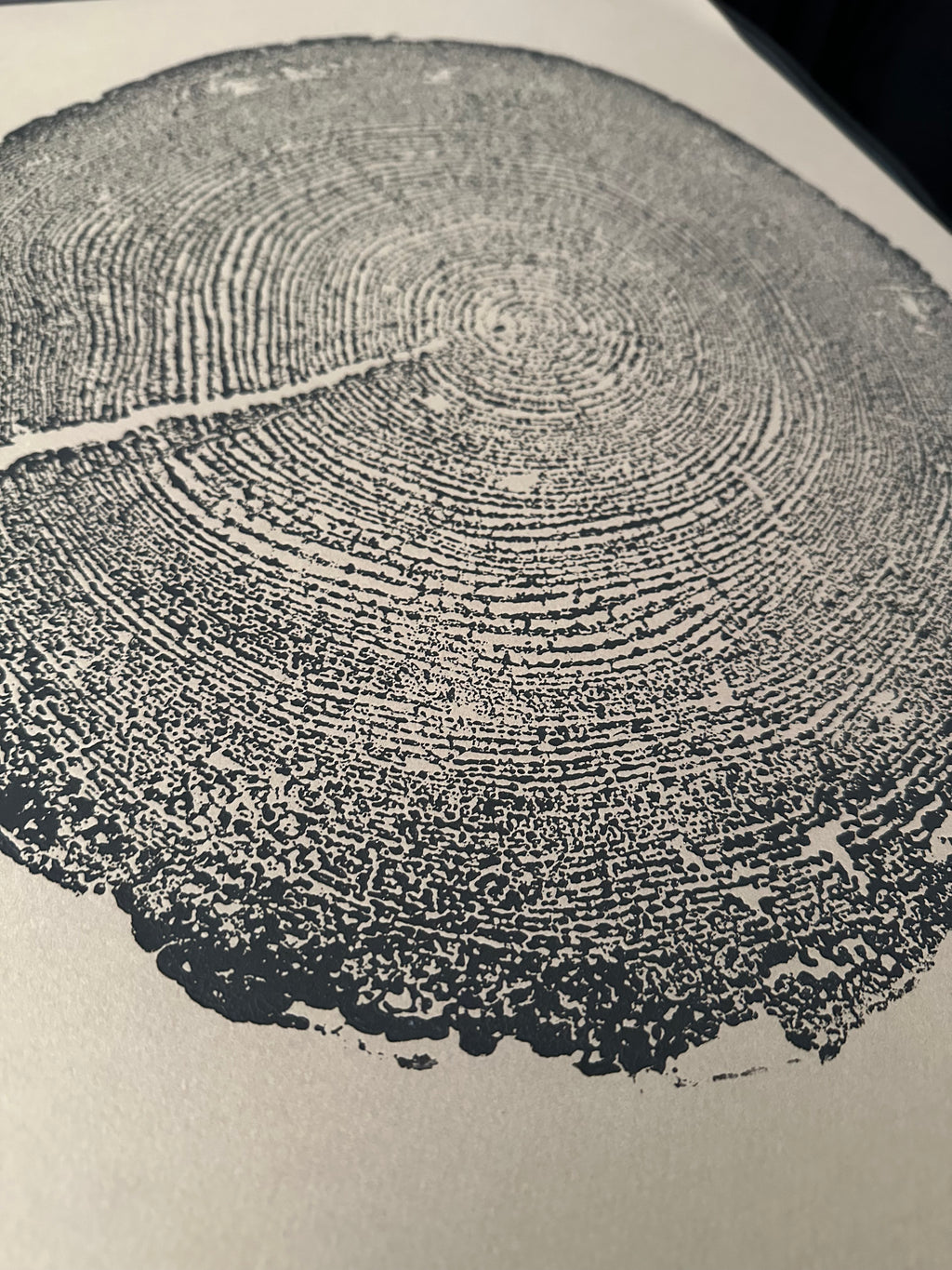 Redwood Tree Print, Tree Ring Art, Brown's