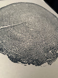 Redwood Tree Print, Tree Ring Art, Brown's