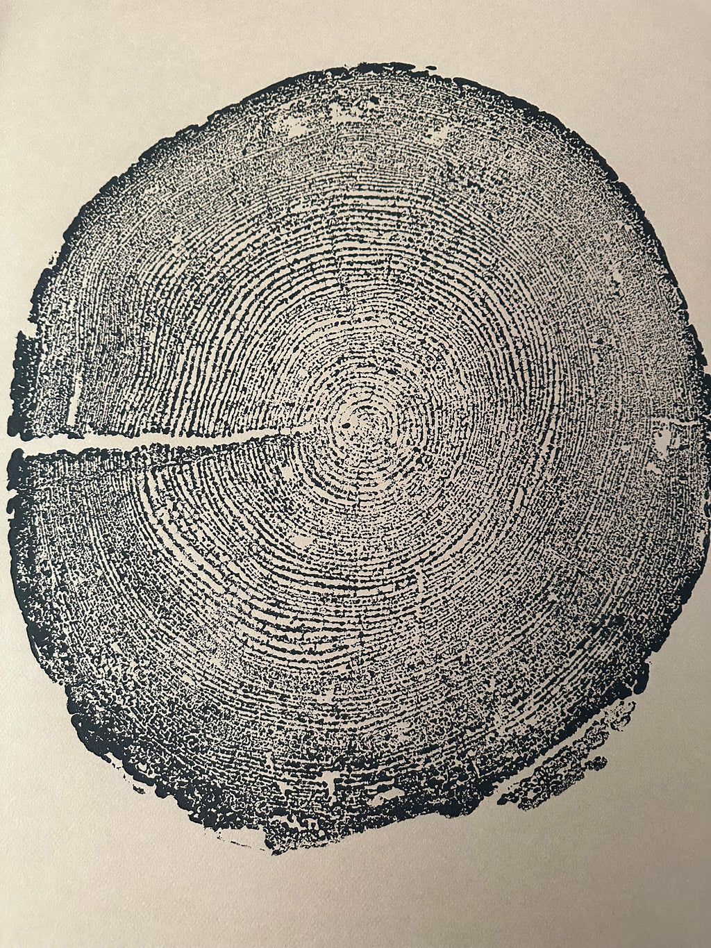 Redwood Tree Print, Tree Ring Art, Brown's