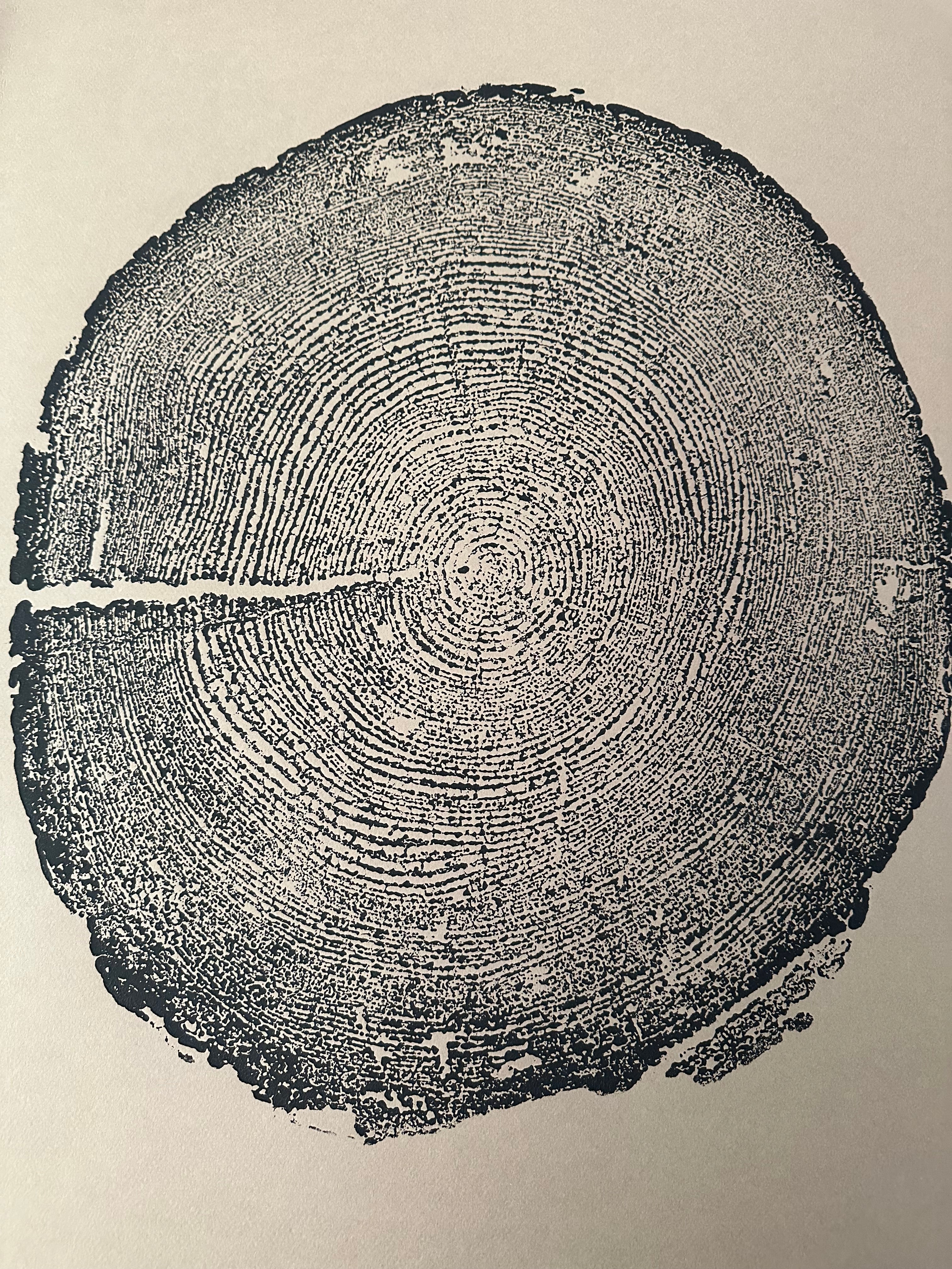 Redwood Tree Print, Tree Ring Art, Brown's