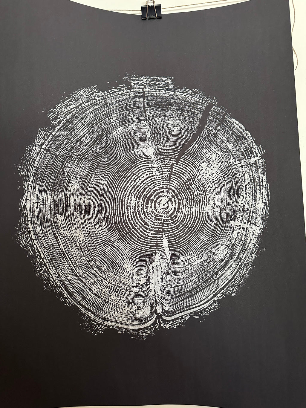 Handmade Redwood Tree Print 18x24 white