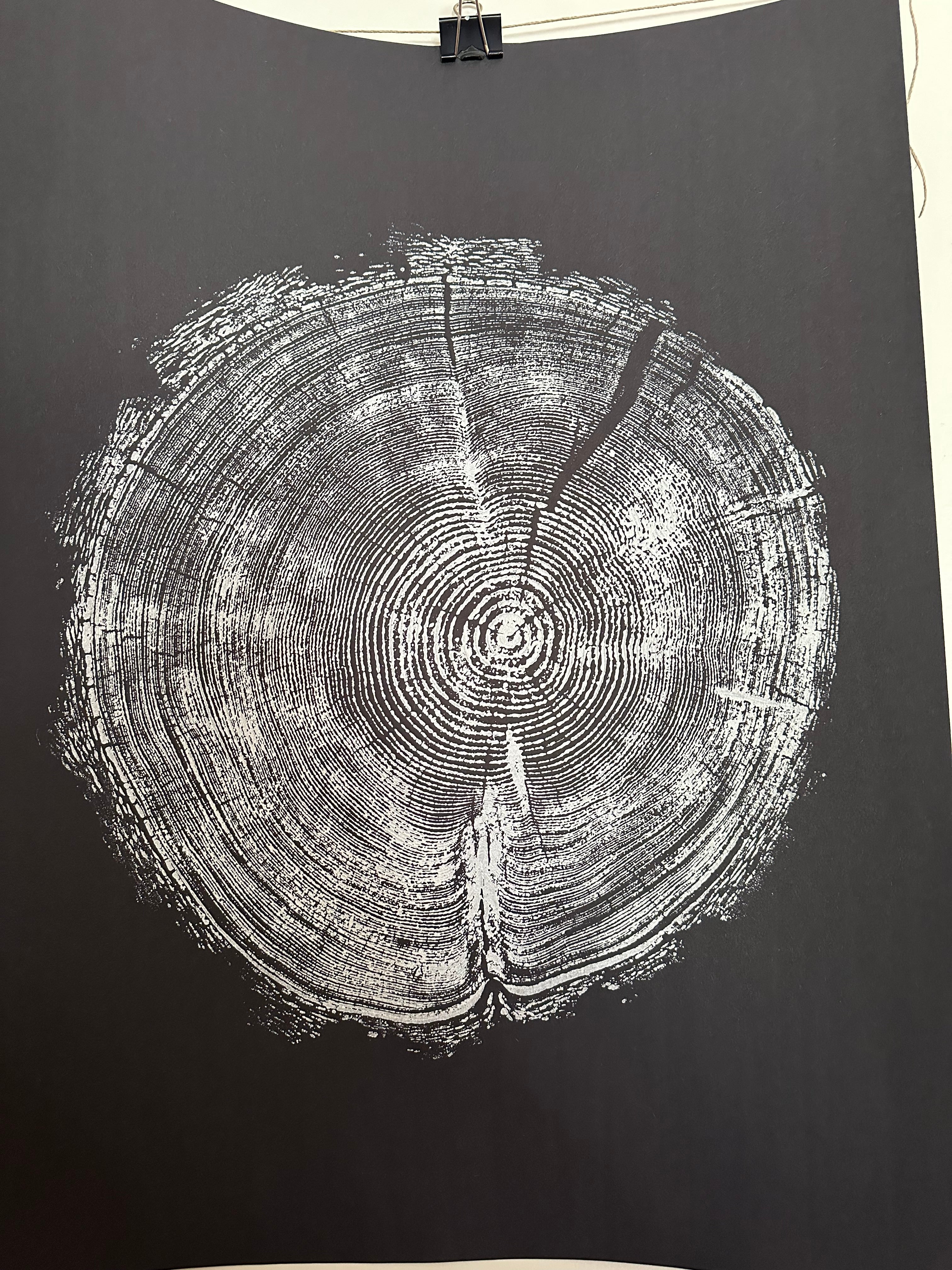 Handmade Redwood Tree Print 18x24 white