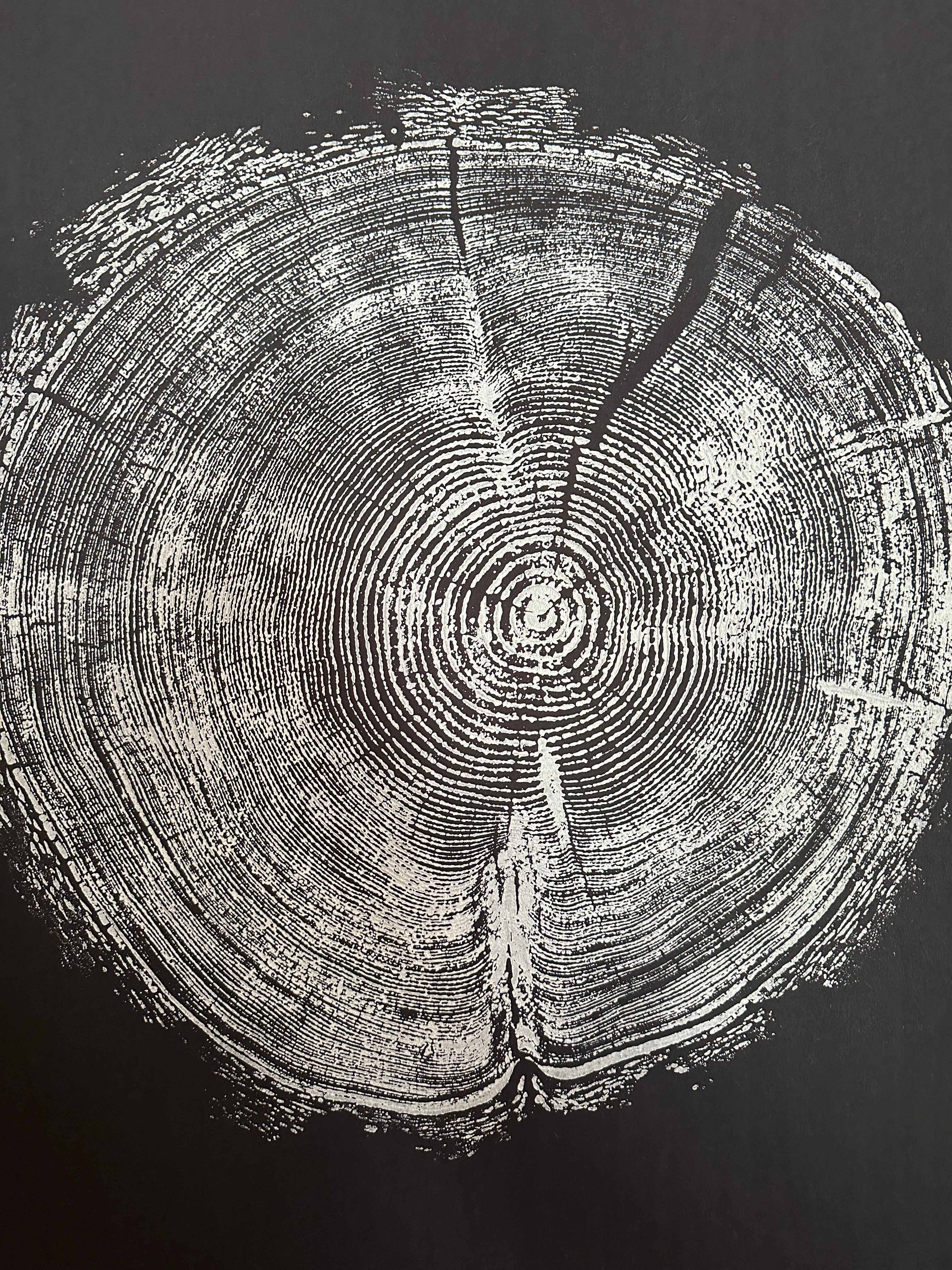 Handmade Redwood Tree Print 18x24 white