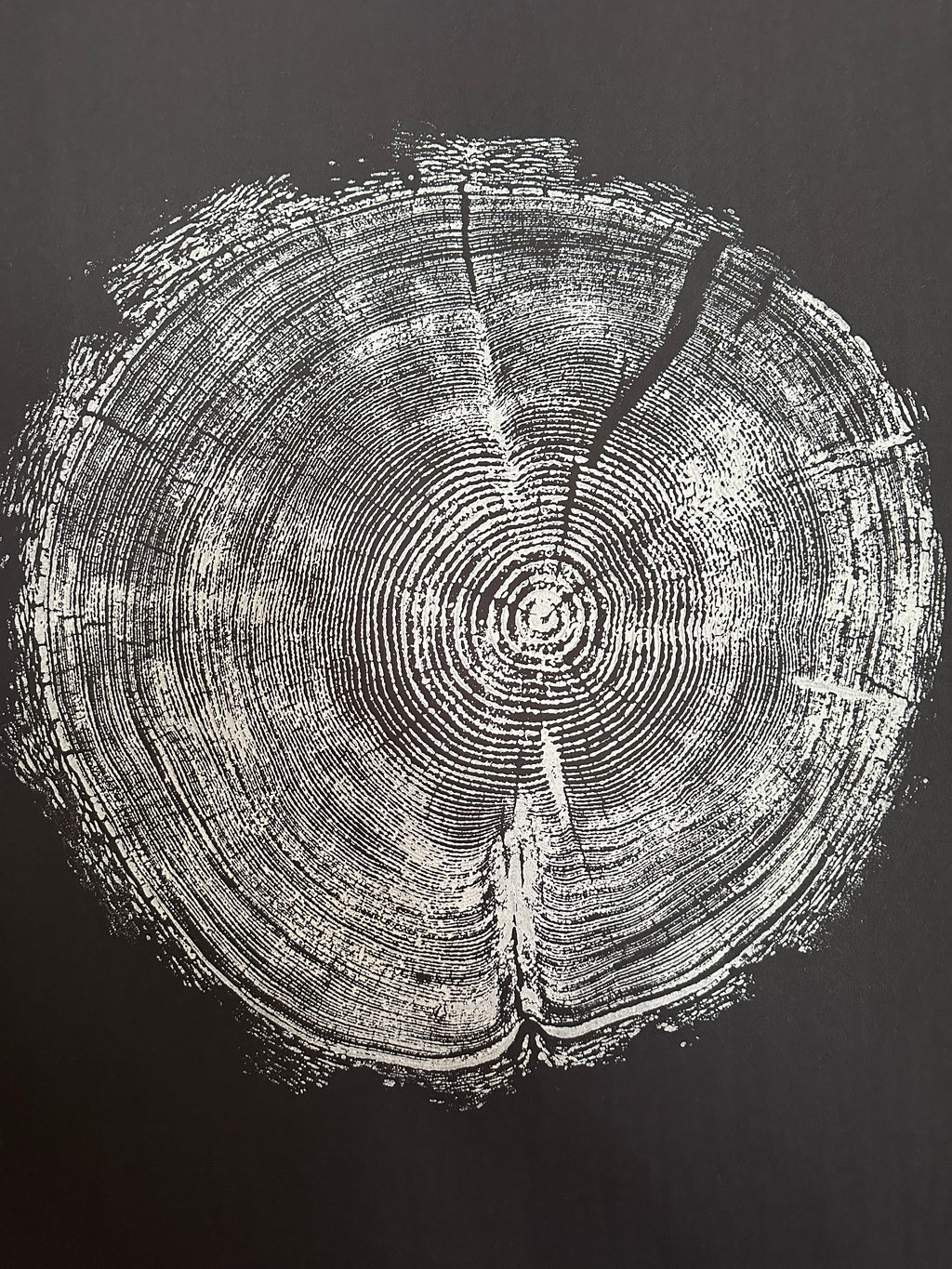 Handmade Redwood Tree Print 18x24 white