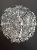 Handmade Redwood Tree Print 18x24 white