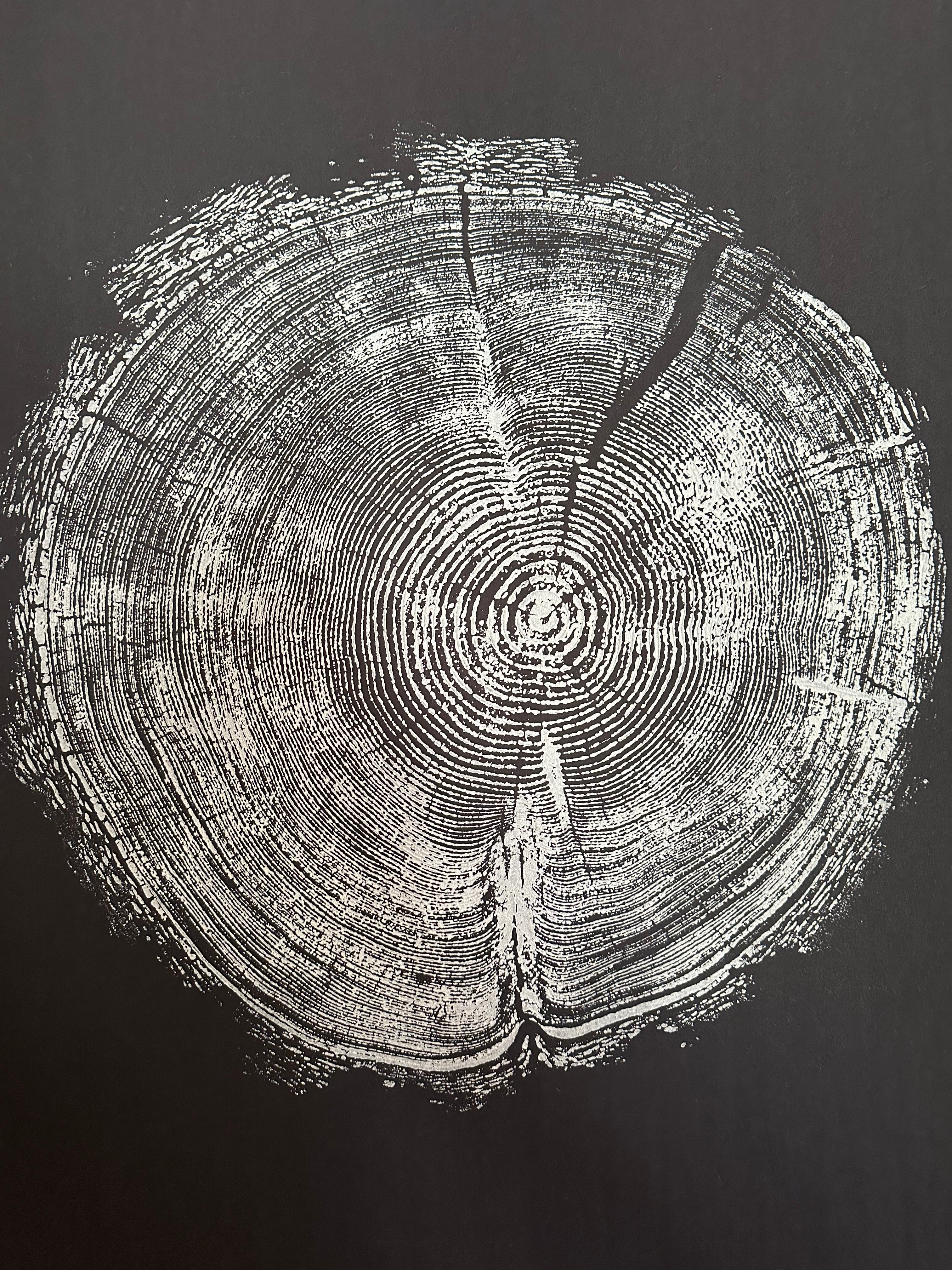 Handmade Redwood Tree Print 18x24 white