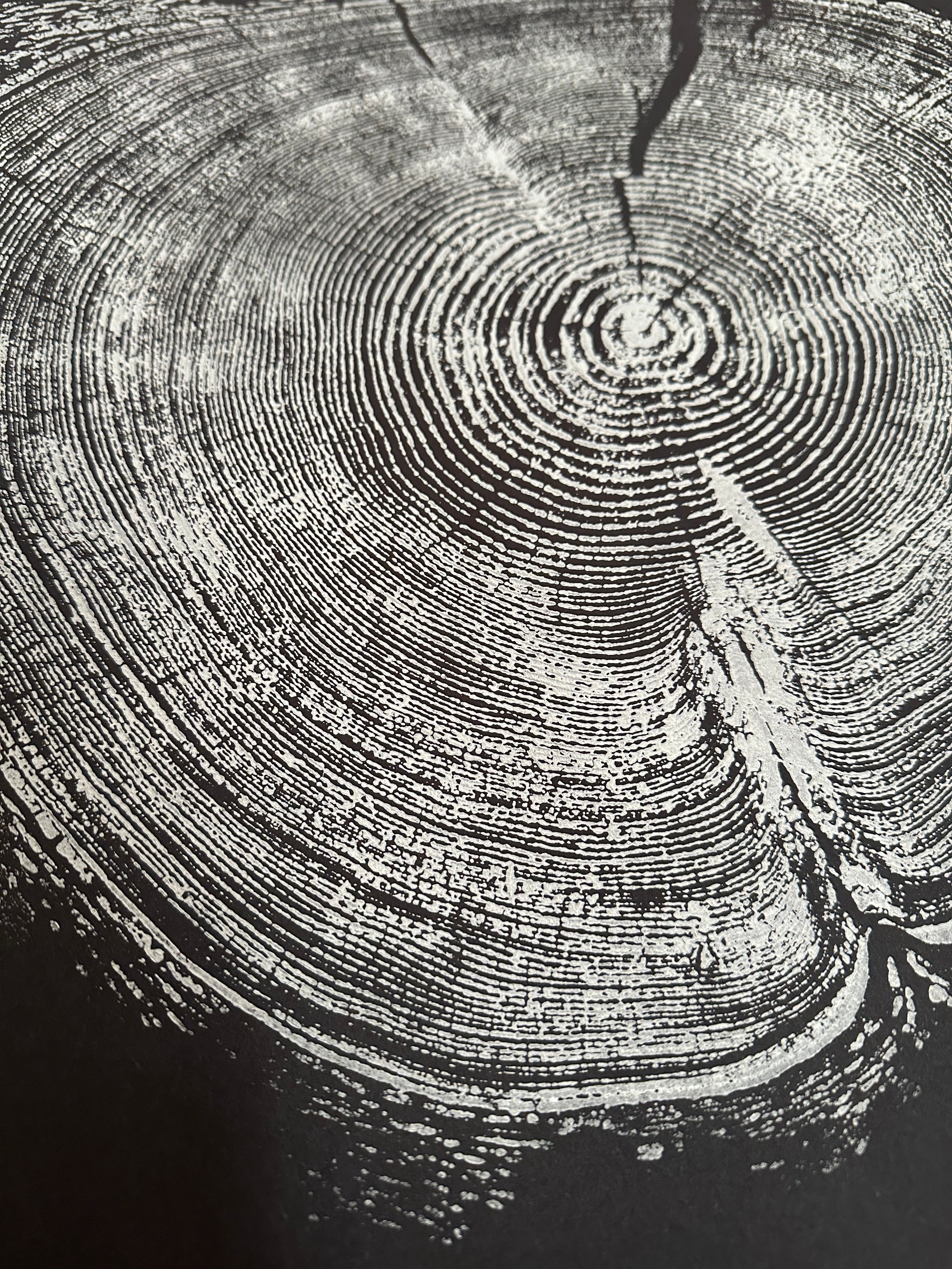 Handmade Redwood Tree Print 18x24 white