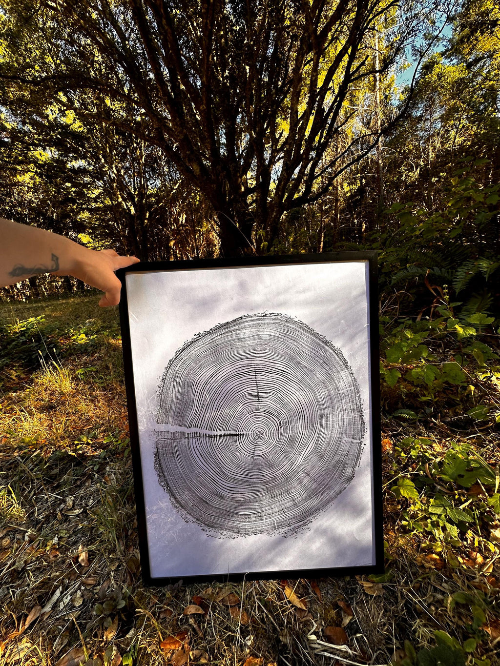 Handmade Redwood Tree Print 18x24