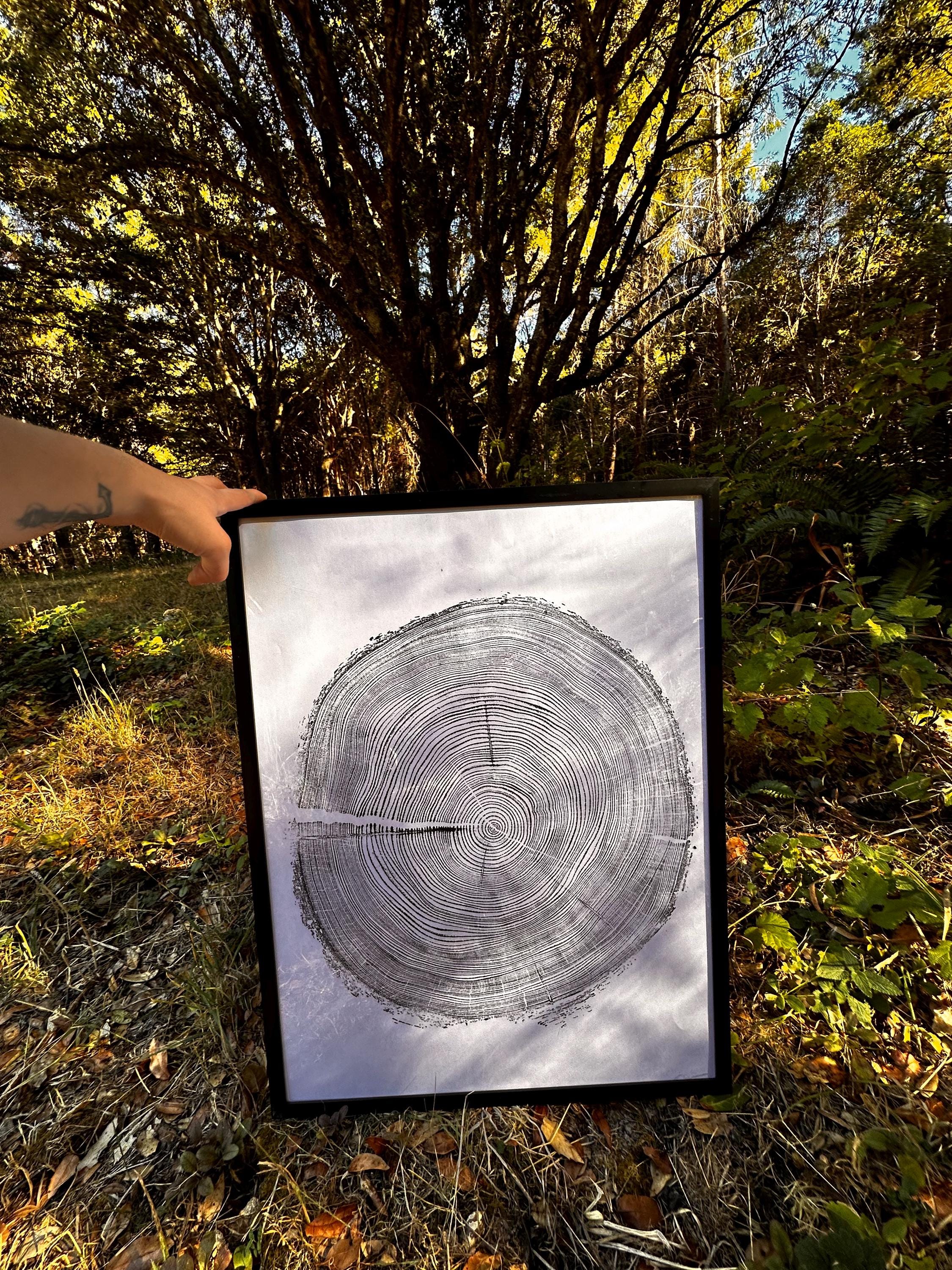 Handmade Redwood Tree Print 18x24