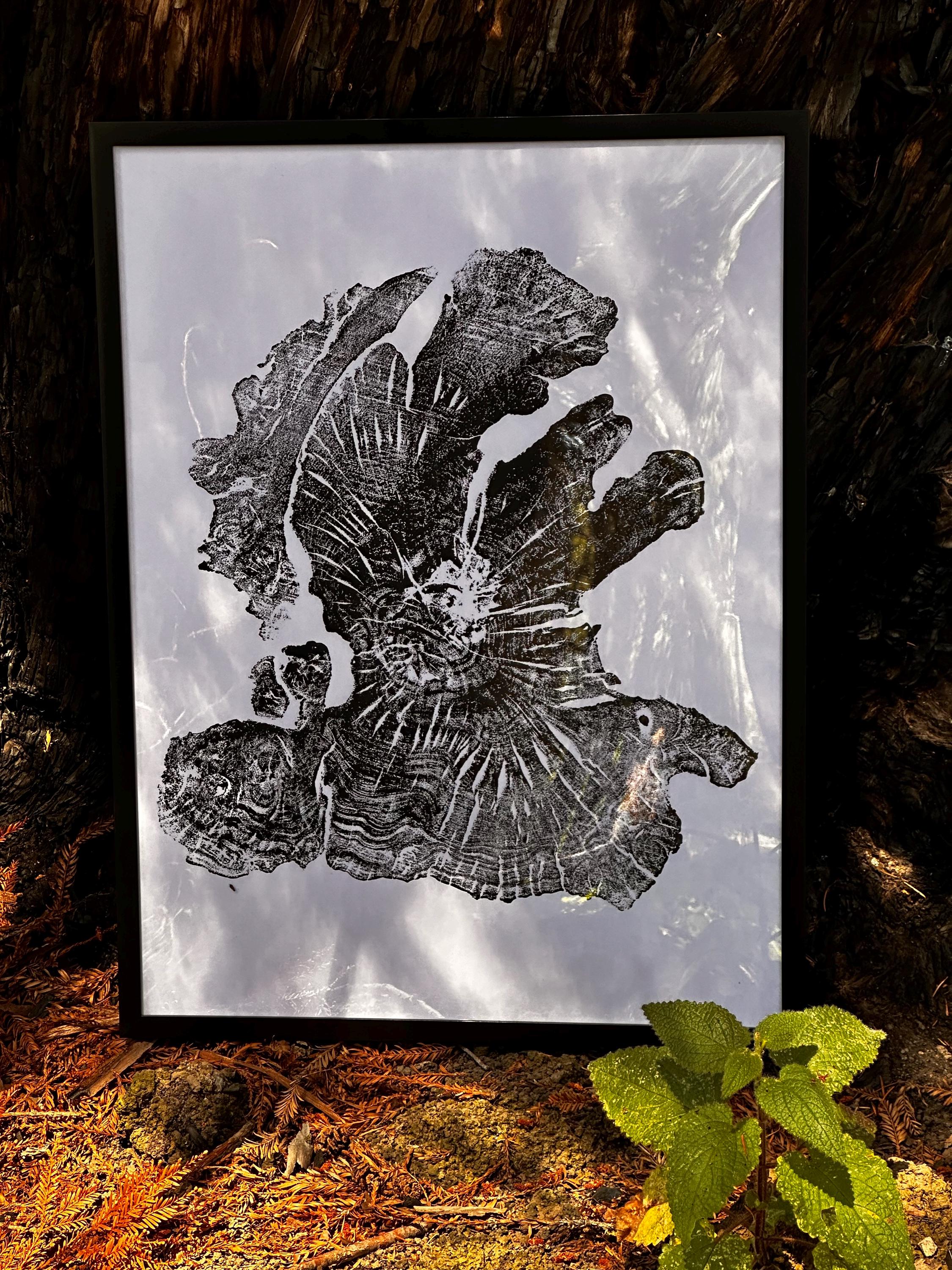 Handmade Olive Wood Tree Print 18x24