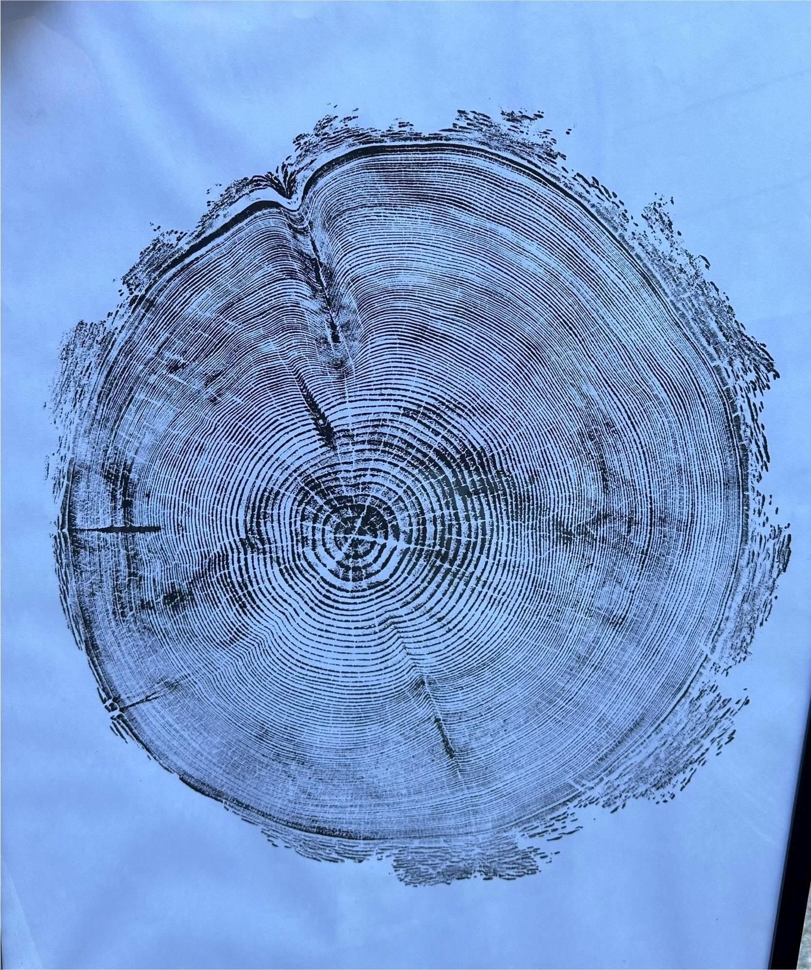 Handmade Redwood Tree Print 18x24