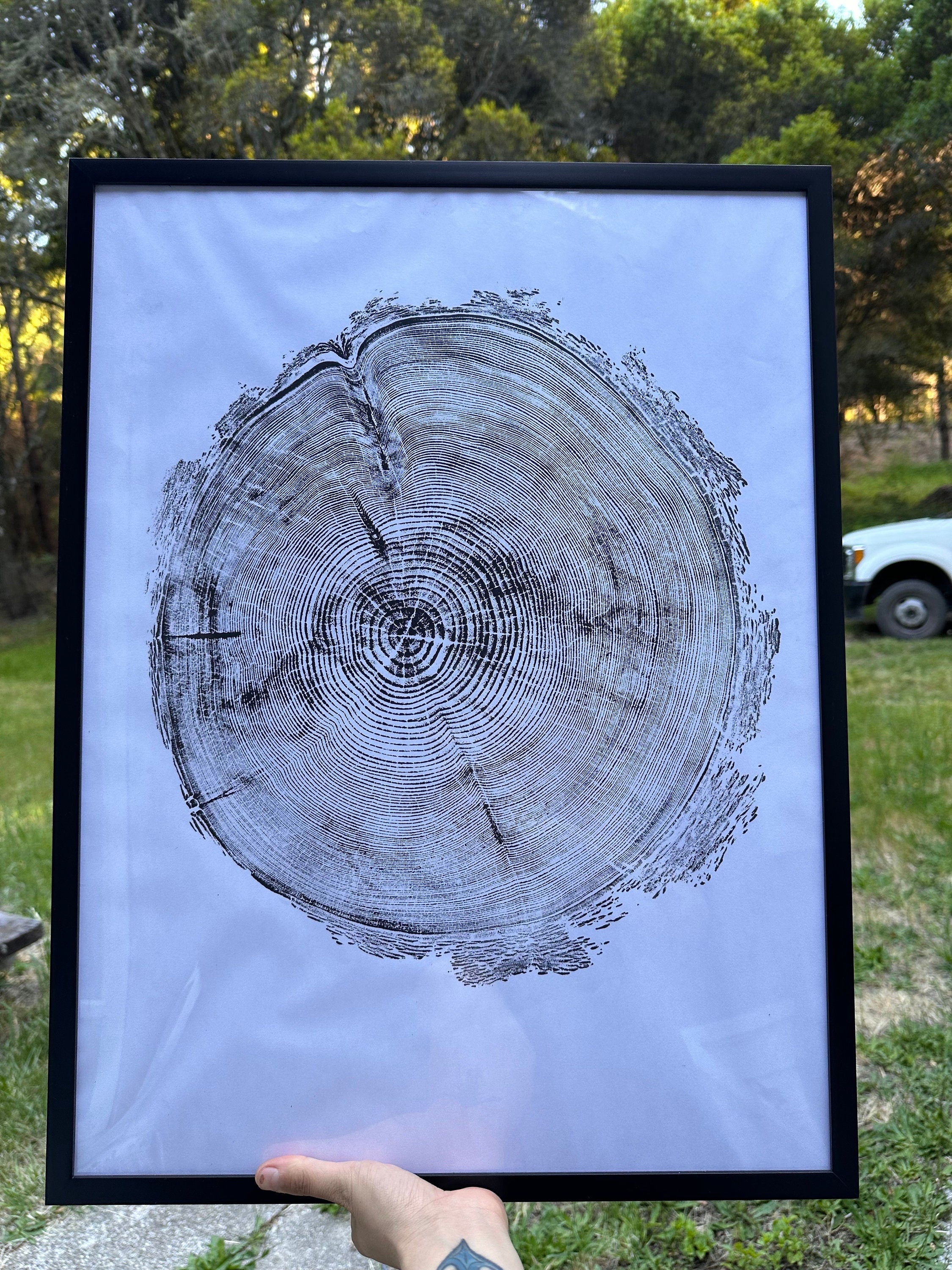 Handmade Redwood Tree Print 18x24