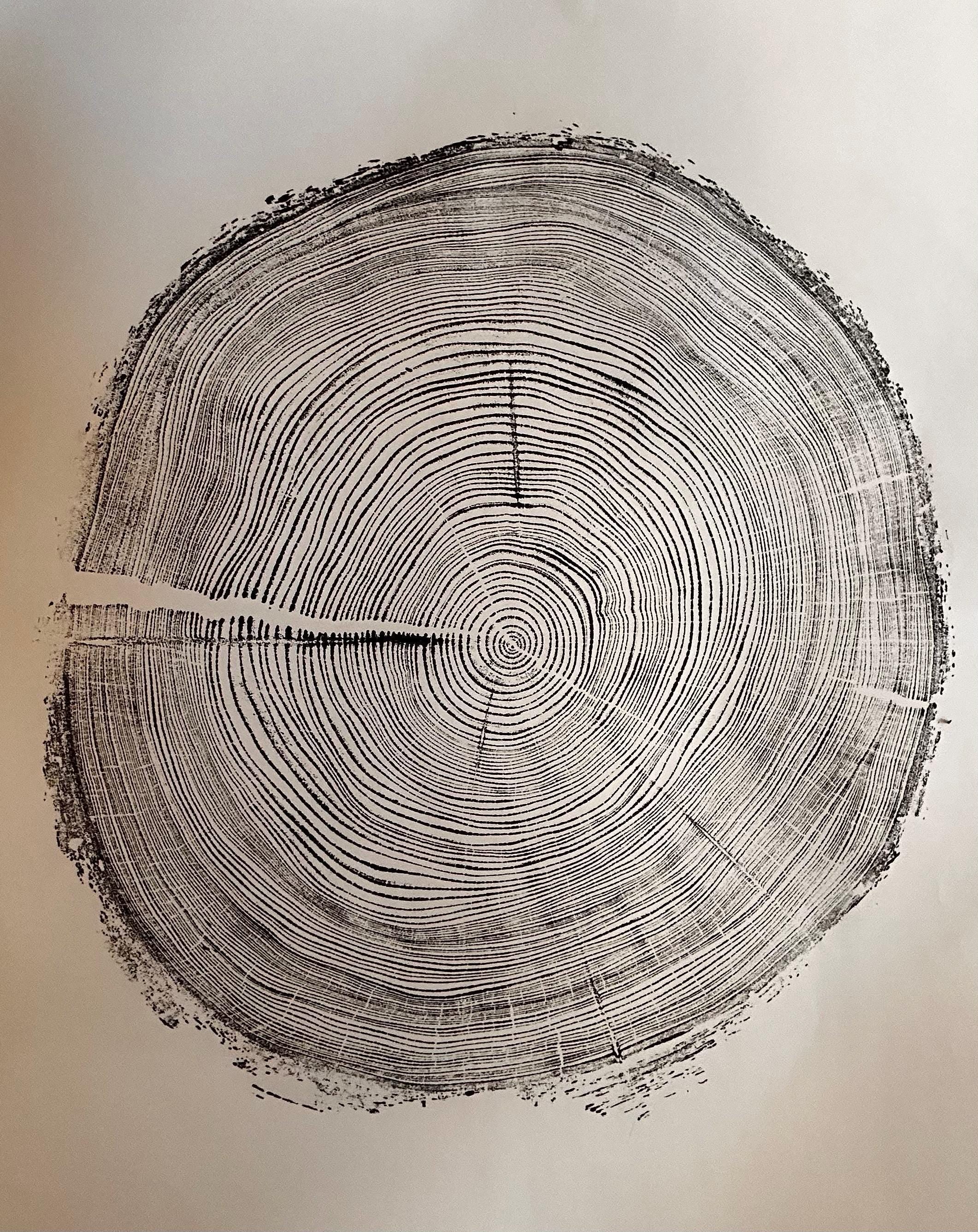 Handmade Redwood Tree Print 18x24