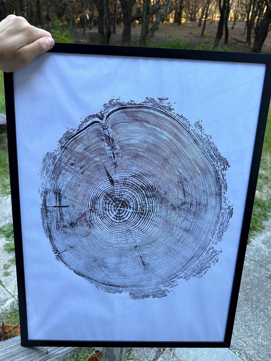 Handmade Redwood Tree Print 18x24