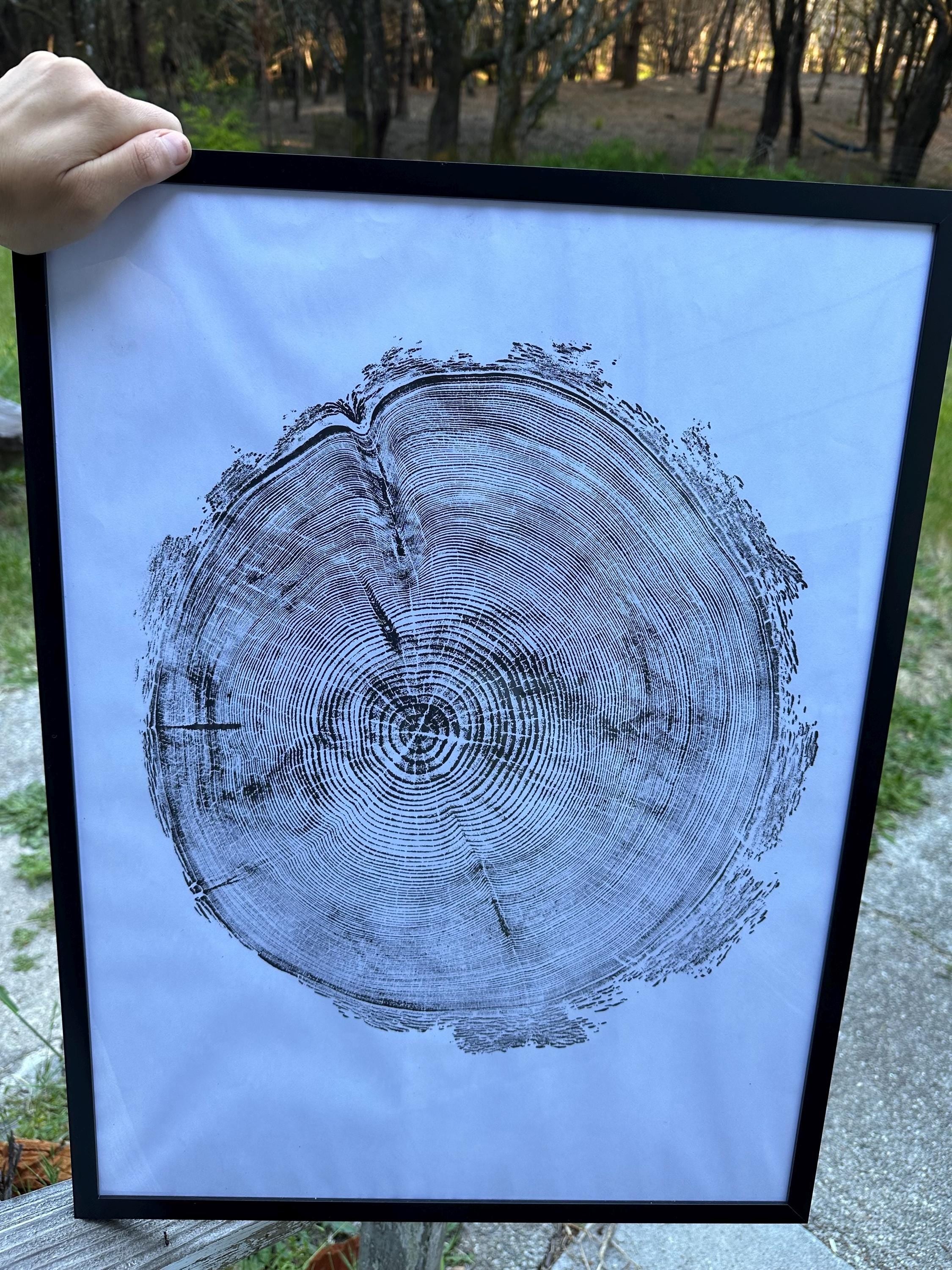Handmade Redwood Tree Print 18x24