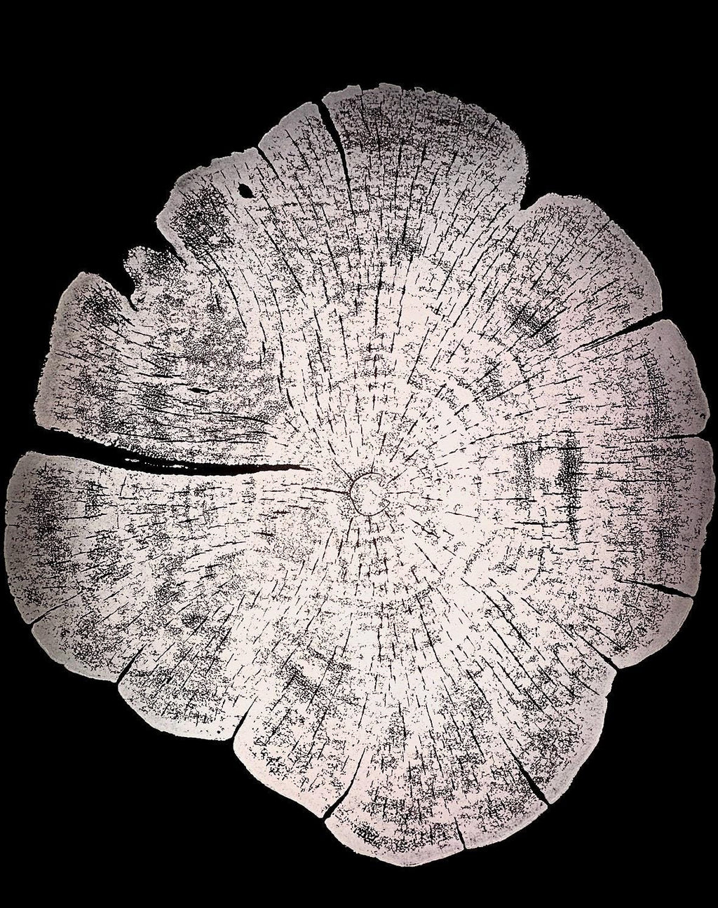 Handmade Red Cedar Tree Print 12x18