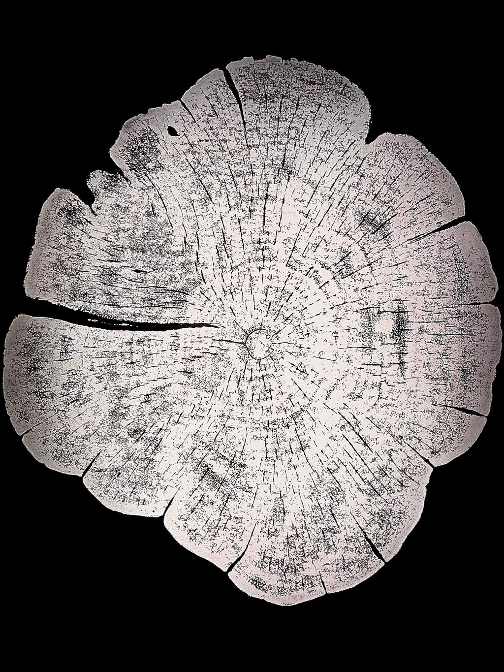 Handmade Red Cedar Tree Print 12x18