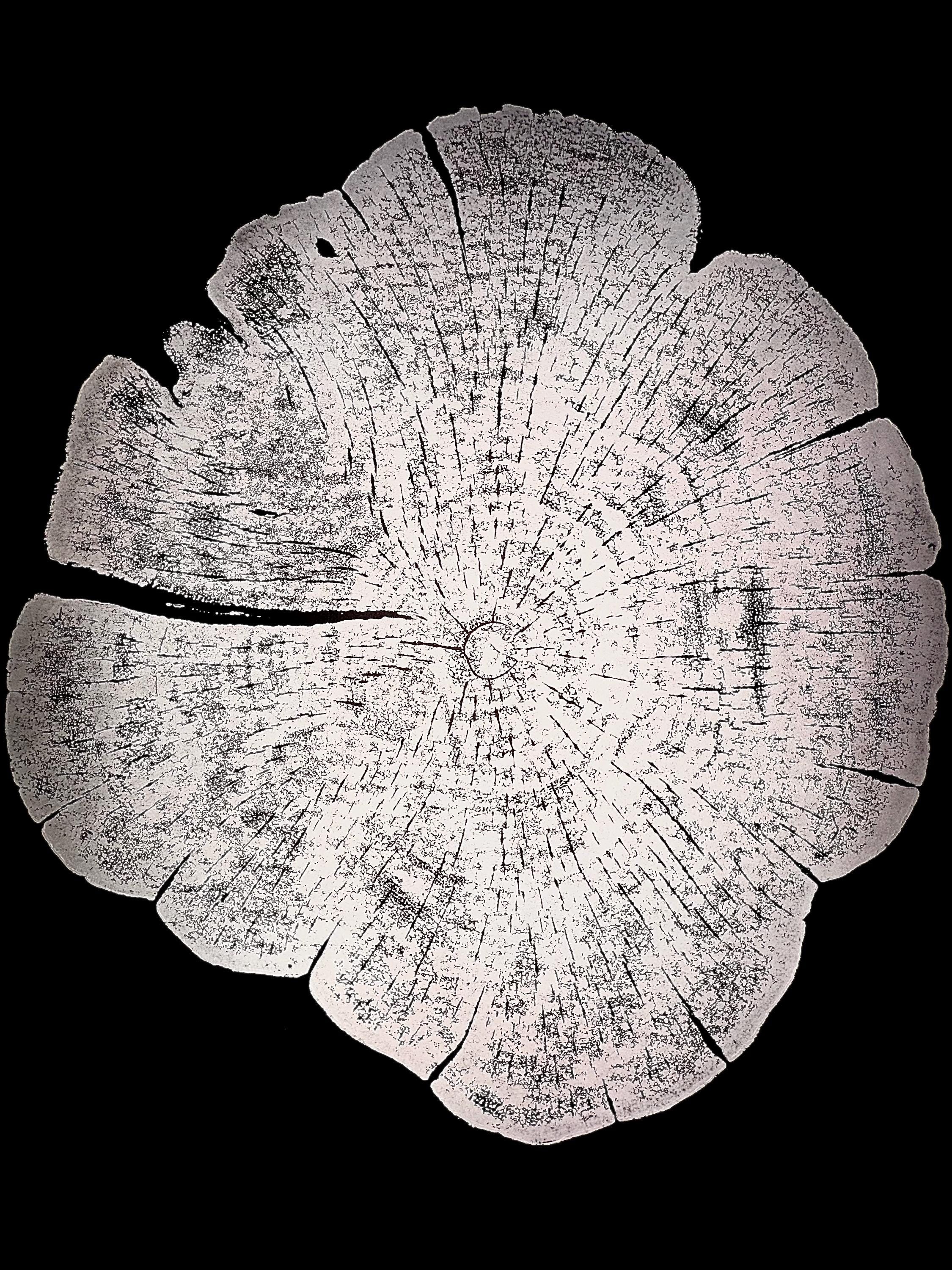 Handmade Red Cedar Tree Print 12x18