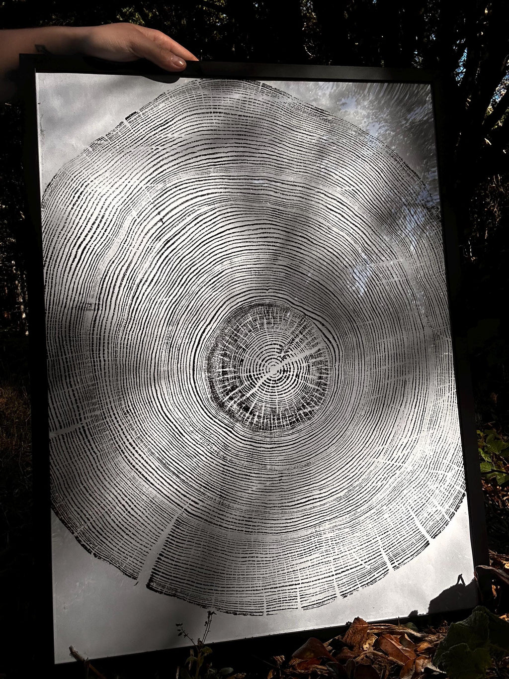 Handmade Ponderosa Pine Tree Print 18x24