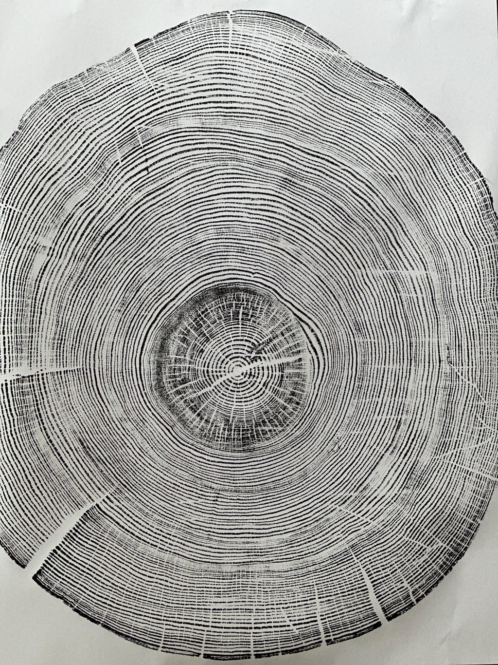 Handmade Ponderosa Pine Tree Print 18x24