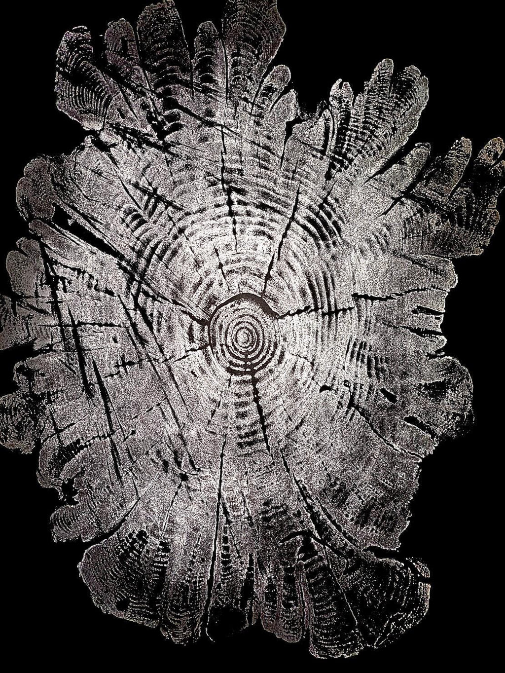 Handmade Hardwood Tree Print 18x24 with saw marks