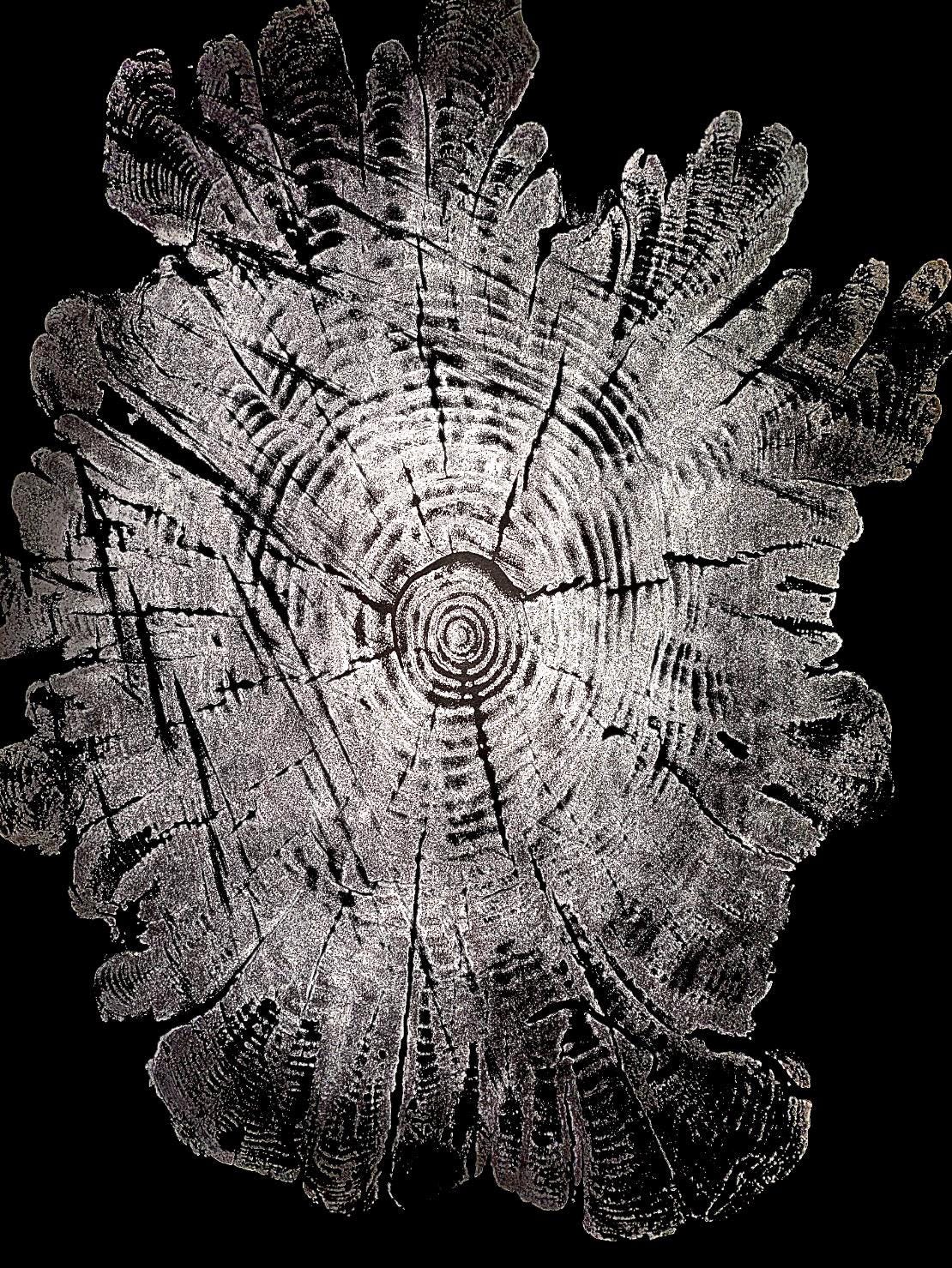 Handmade Hardwood Tree Print 18x24 with saw marks