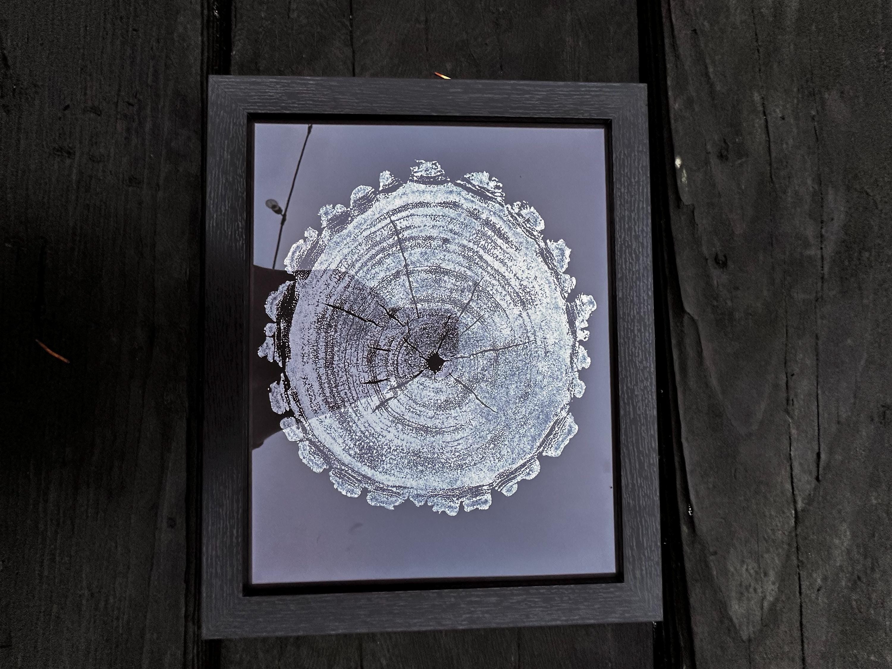 Handmade Black Maple Tree Print 9x12