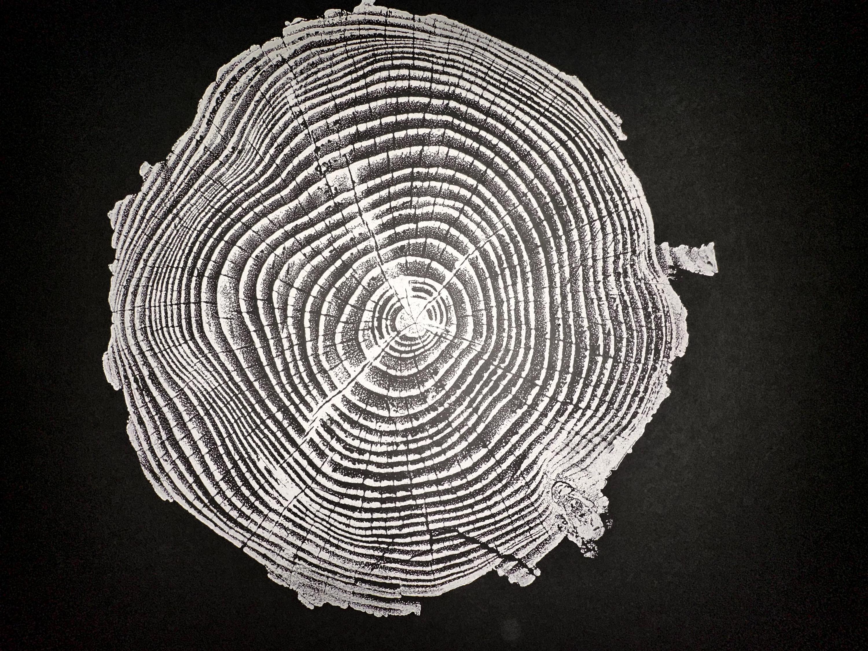 Handmade Coastal Pine Tree Print 18x24