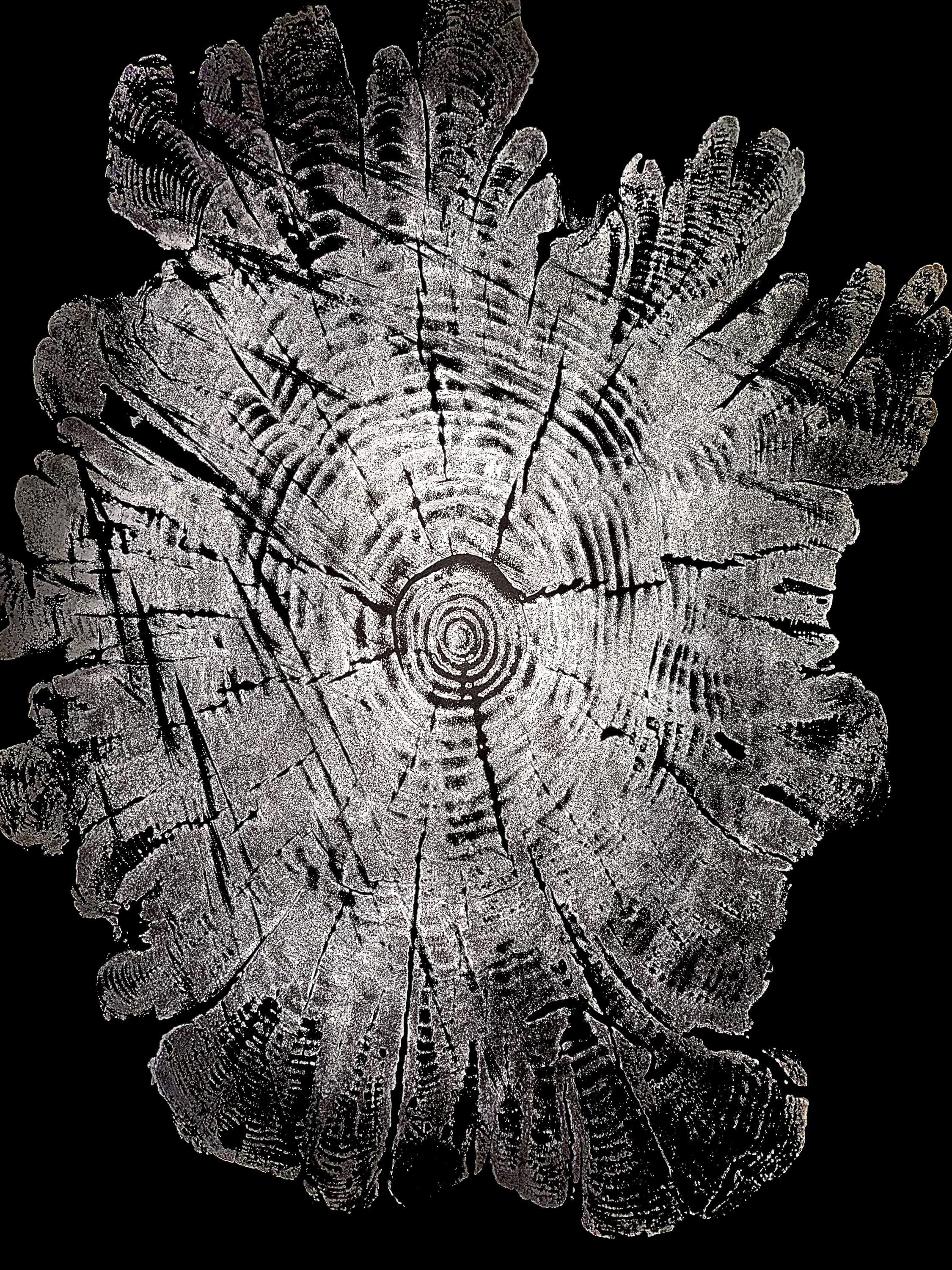 Handmade Hardwood Tree Print 18x24 with saw marks
