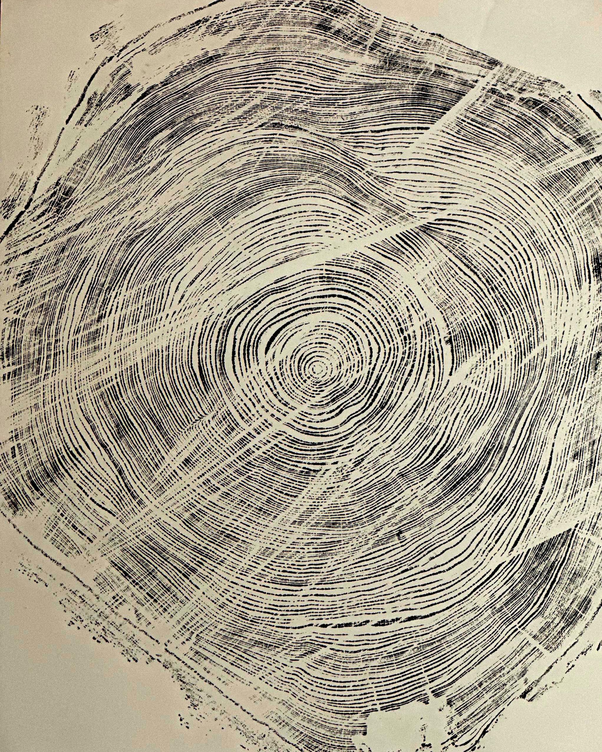 Handmade Big Redwood Tree Print! 28x22