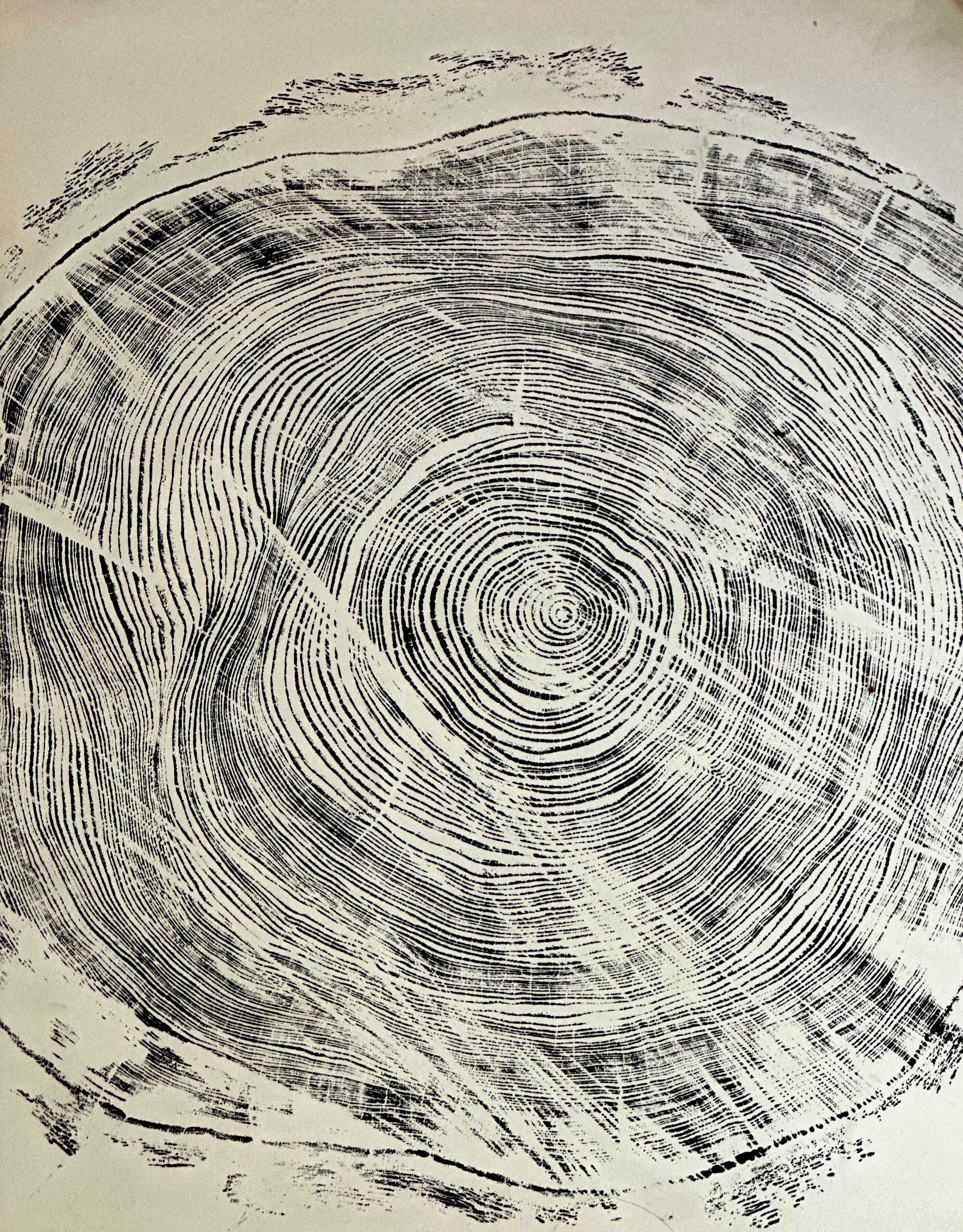 Handmade Big Redwood Tree Print! 28x22