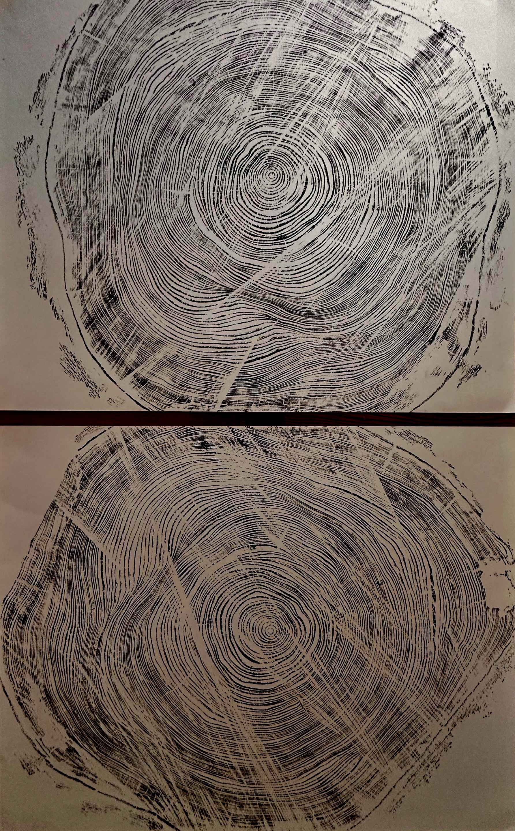 Handmade Big Redwood Tree Print! 28x22