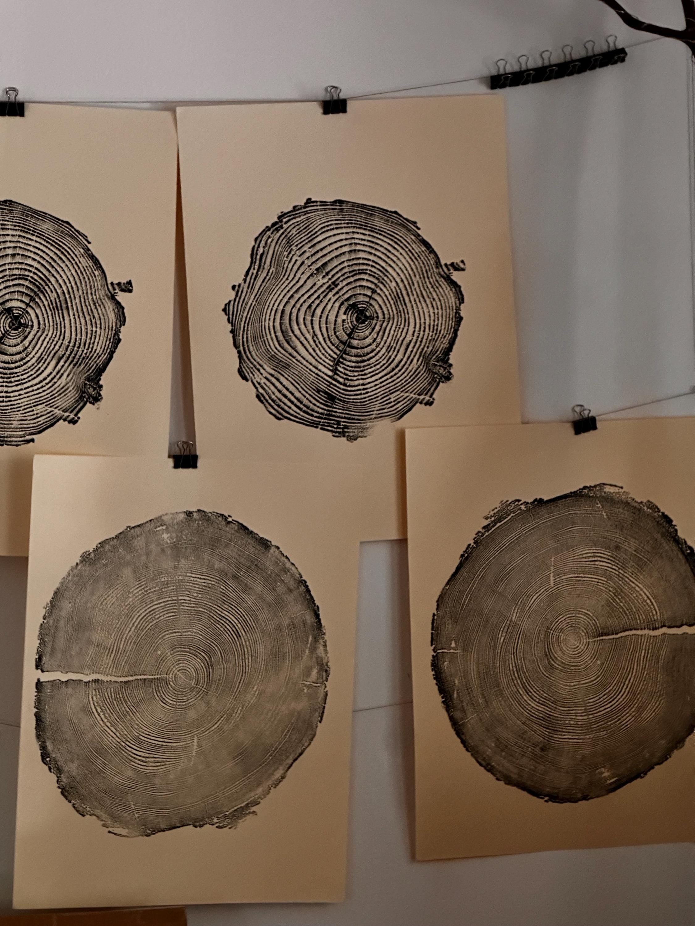 Handmade Redwood Tree Print, 18x24