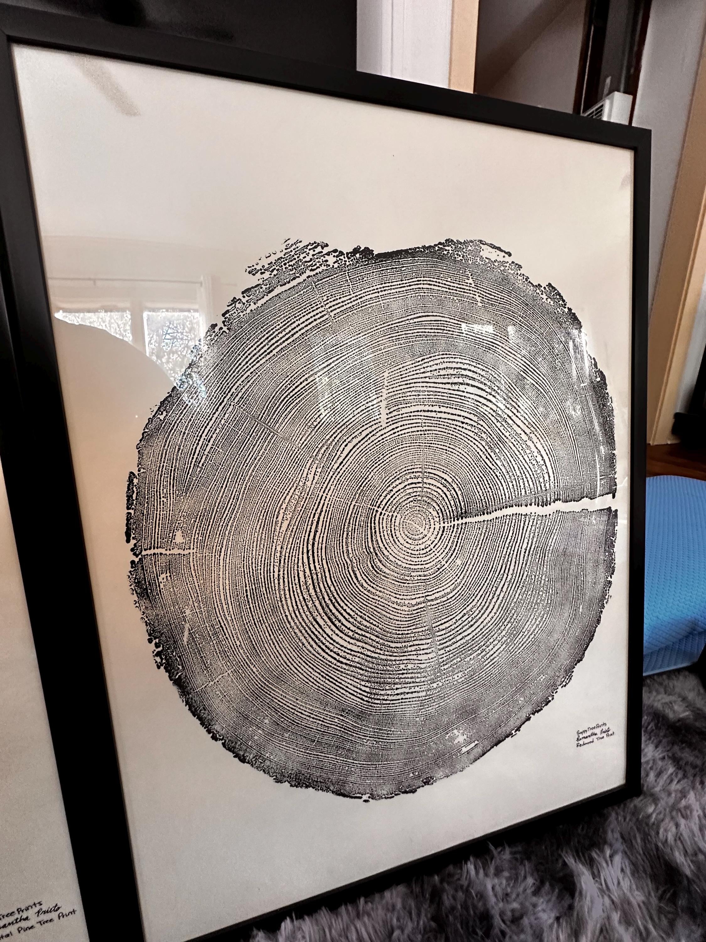 Handmade Redwood Tree Print, 18x24