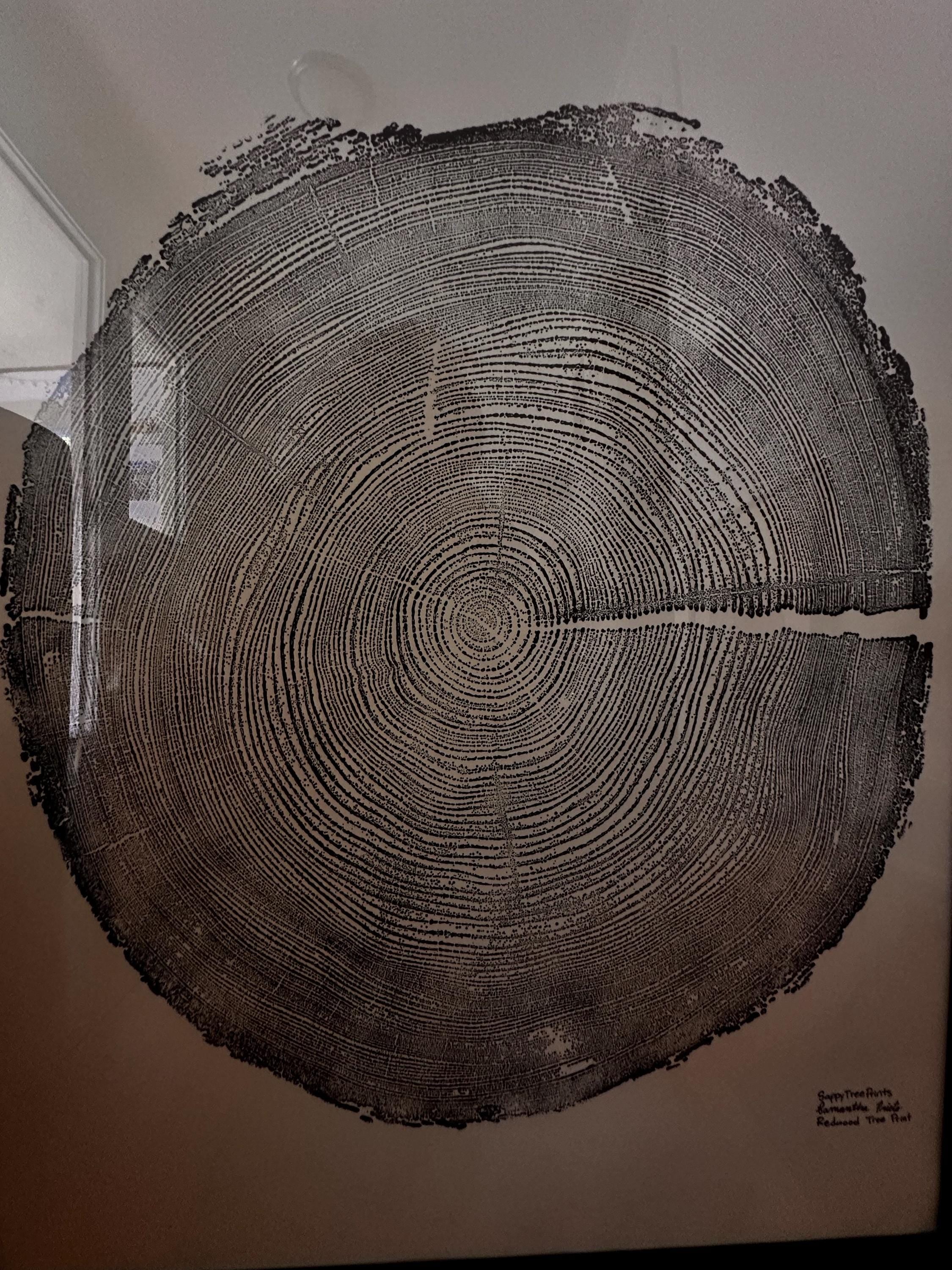 Handmade Redwood Tree Print, 18x24