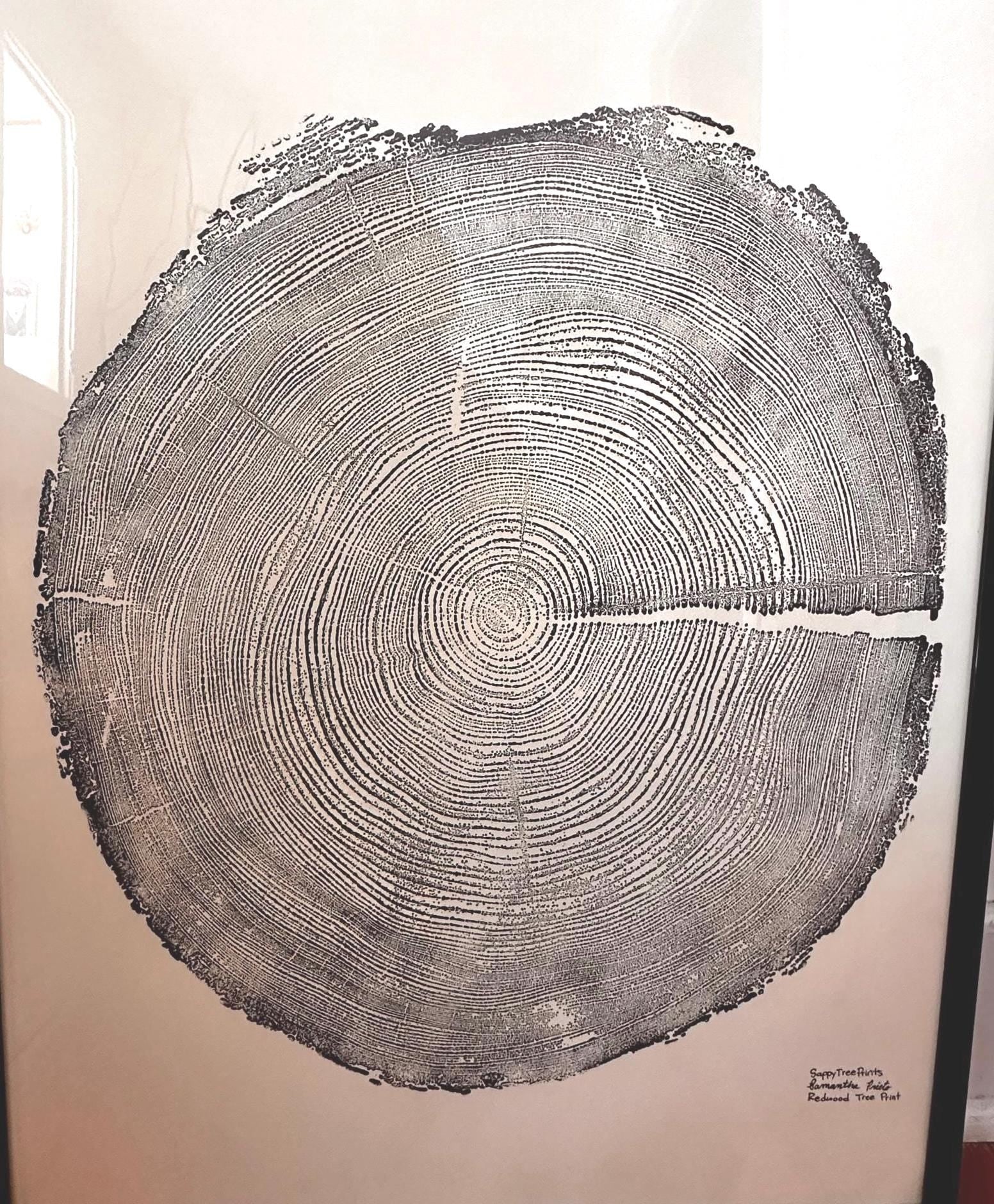 Handmade Redwood Tree Print, 18x24