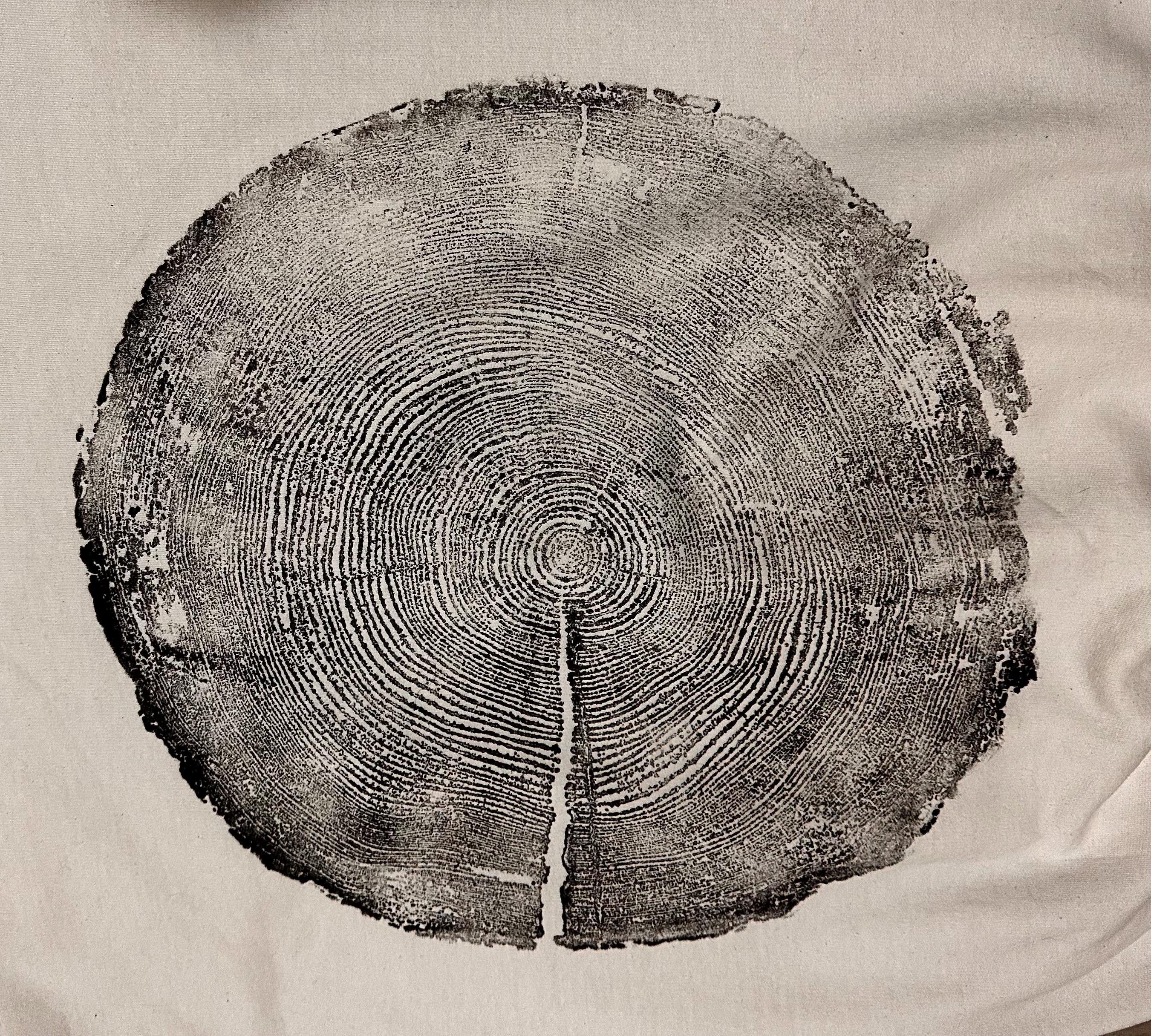 Handmade Madrone/Redwood Tree Hoodie, Tree Ring Art, White-Large