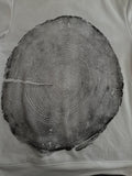 Handmade Redwood Sweatshirt, Tree Ring Art, White-Medium